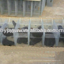Stainless Steel Mink Cages /Fox Cage &Galvanized Mink Cage